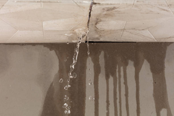 Professional Flood Damage Cleanup technician working in Walsh, IL